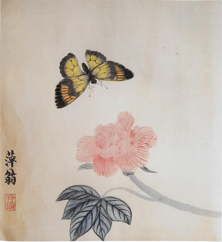 Hibiscus and butterfly 芙蓉蝴蝶